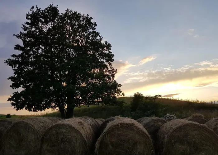 Zosienka Domki Wypoczynkowe